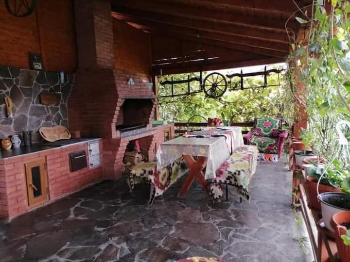 Pensiunea Brezu Sighetu Marmatiei Bagian luar foto