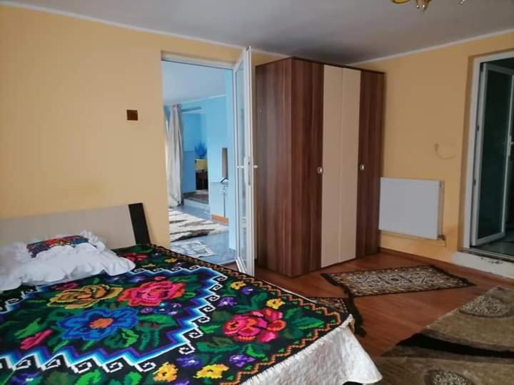 Pensiunea Brezu Sighetu Marmatiei Bagian luar foto