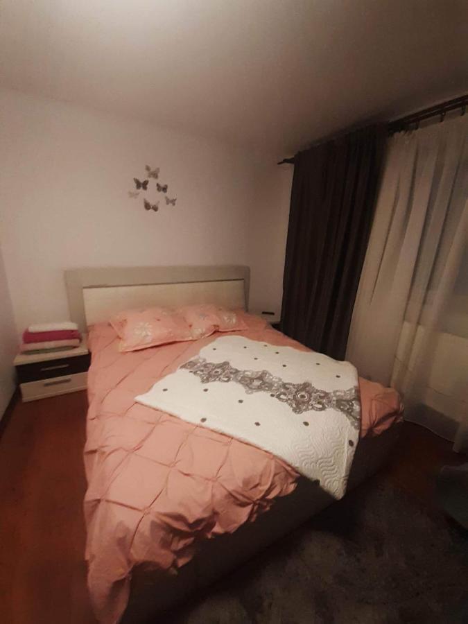 Pensiunea Brezu Sighetu Marmatiei Bagian luar foto