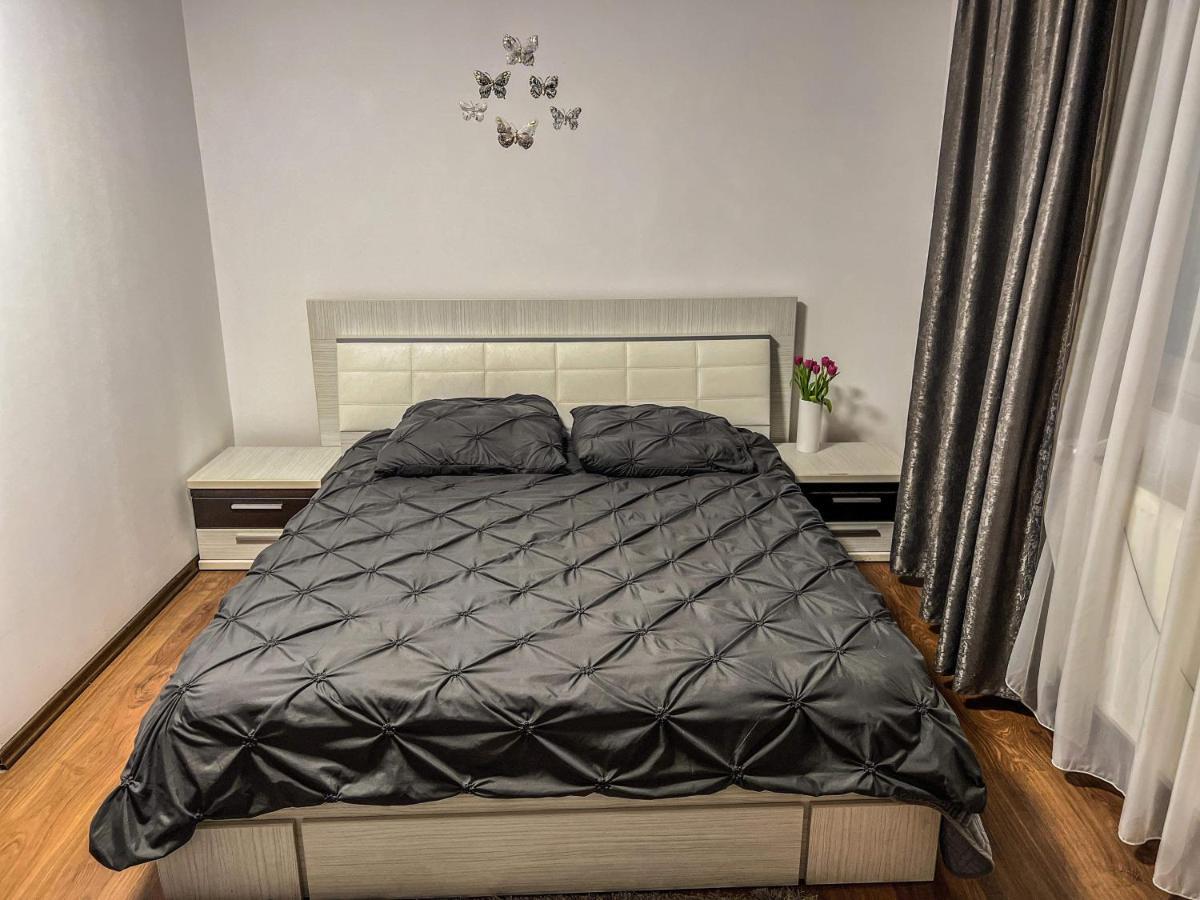 Pensiunea Brezu Sighetu Marmatiei Bagian luar foto