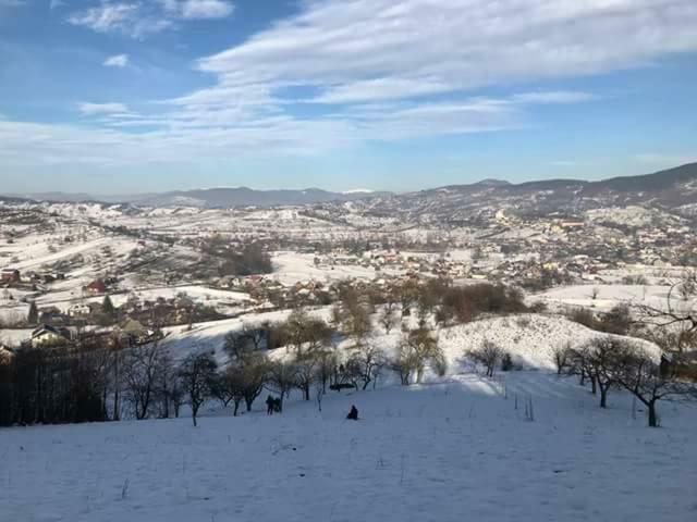 Pensiunea Brezu Sighetu Marmatiei Bagian luar foto