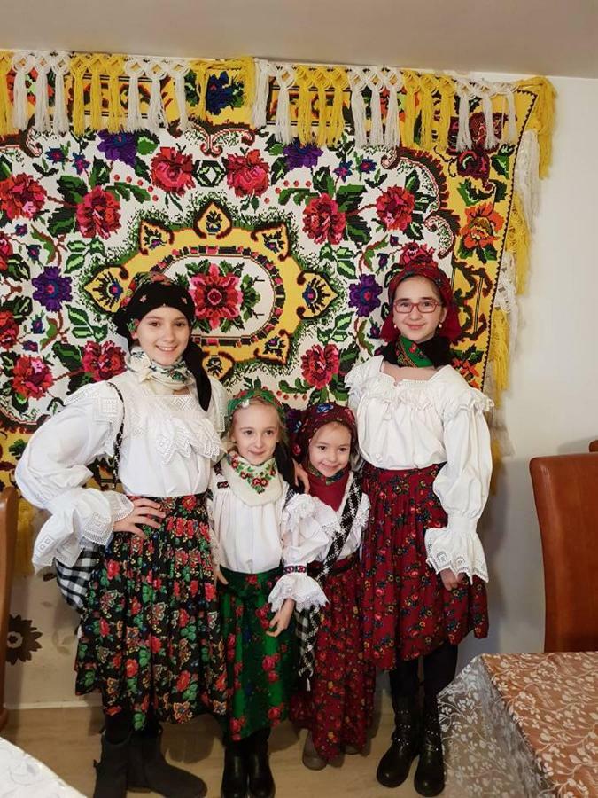 Pensiunea Brezu Sighetu Marmatiei Bagian luar foto