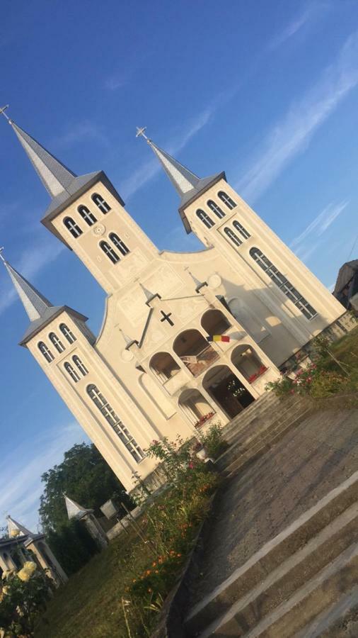 Pensiunea Brezu Sighetu Marmatiei Bagian luar foto
