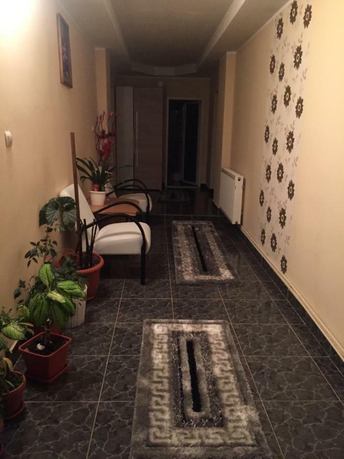 Pensiunea Brezu Sighetu Marmatiei Bagian luar foto