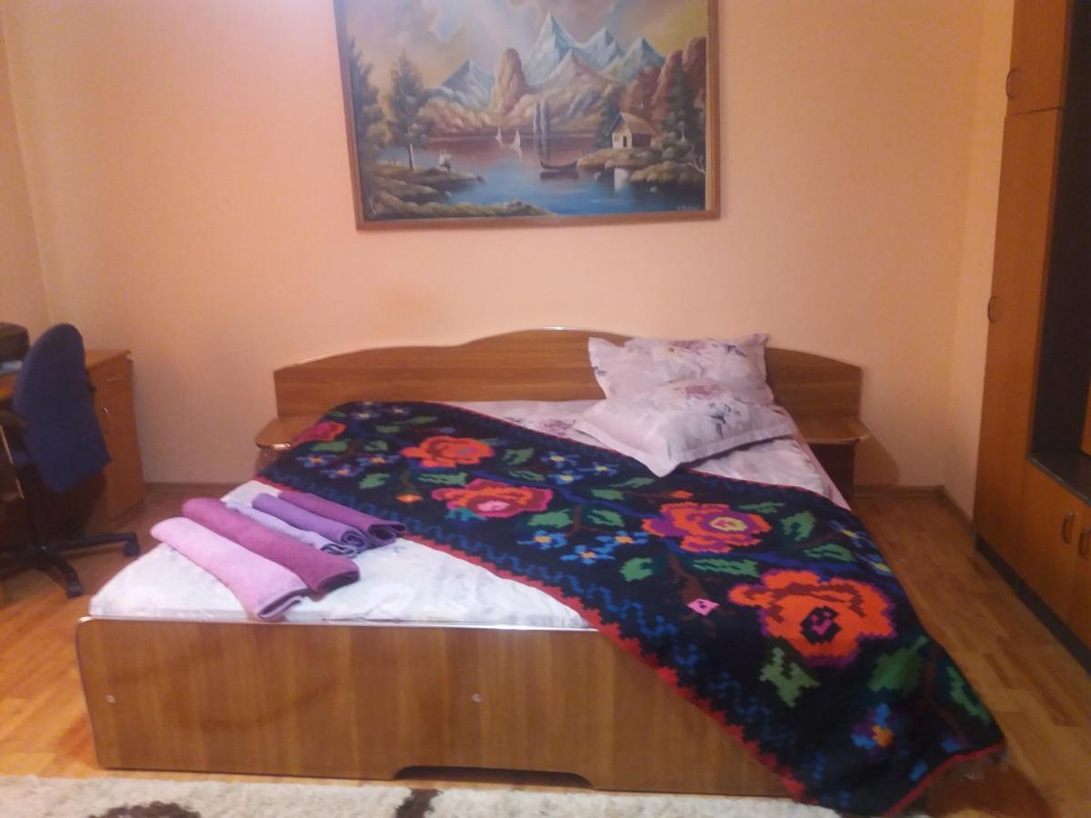 Pensiunea Brezu Sighetu Marmatiei Bagian luar foto