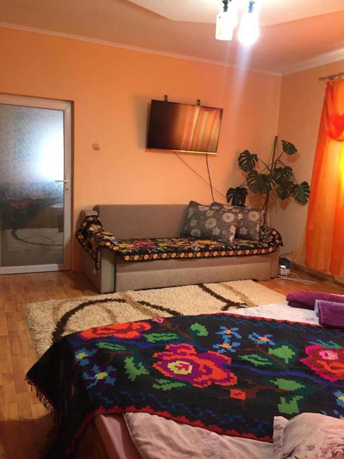 Pensiunea Brezu Sighetu Marmatiei Bagian luar foto